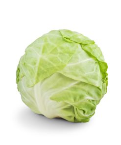 כרוב - זרעים