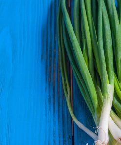 בצל ירוק - זרעים