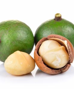 מקדמיה פתוחה