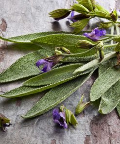 מרווה - זרעים