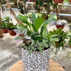 קוקטייל הרמוניה ירוקה