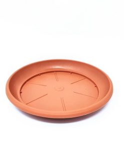 צלחת פלסטיק ערד