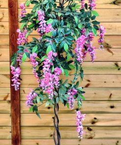 ויסטריה מלאכותית (100-170)