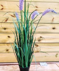 עשבייה פרחונית (1117-8)