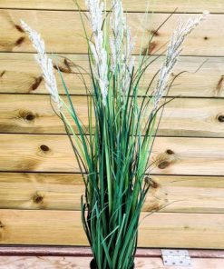 Alternative view of עשבייה פרחונית (1117-8)