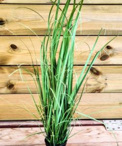 עציץ עלים (1117-2)