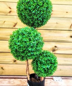 עץ 3 כדורי הדס (295-3)