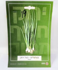 פקעות בצל ירוק