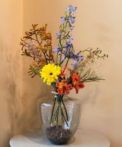 פריחת קיוטו