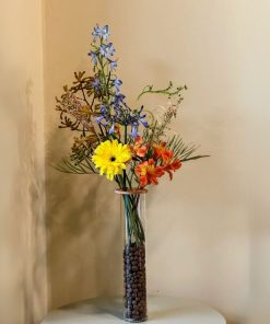 פריחת קיוטו