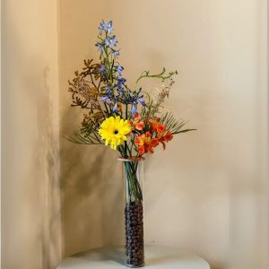 פריחת קיוטו