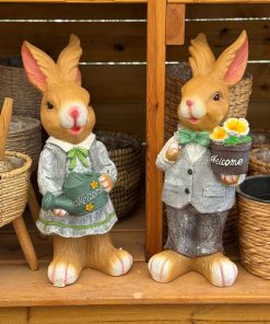 ארנבים גדולים לנוי