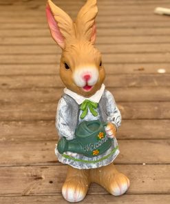 ארנבת גדולה לנוי