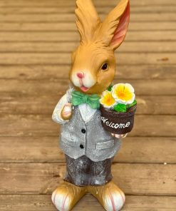 ארנב גדול לנוי