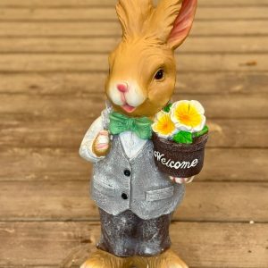 ארנב גדול לנוי