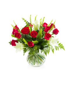 טיפיקאלי רקע לבן