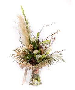 מרסיי רקע לבן