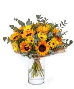 שמש גרסה ישנה