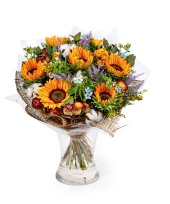 ולנסיה גרסה ישנה