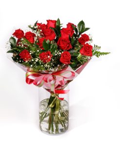 סאן פטרסבורג רקע לבן עם אריזה