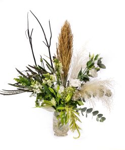 פראג גרסה ישנה