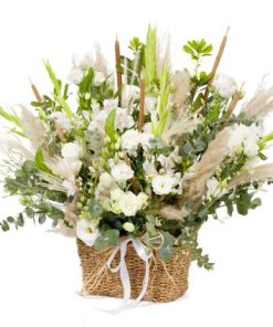 סידור איטליה הלבנה רקע לבן