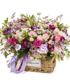 סידור נוף פסטורלי רקע לבן