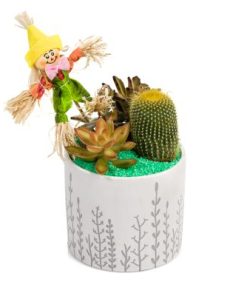 קוקטייל הקוסם מארץ עוץ