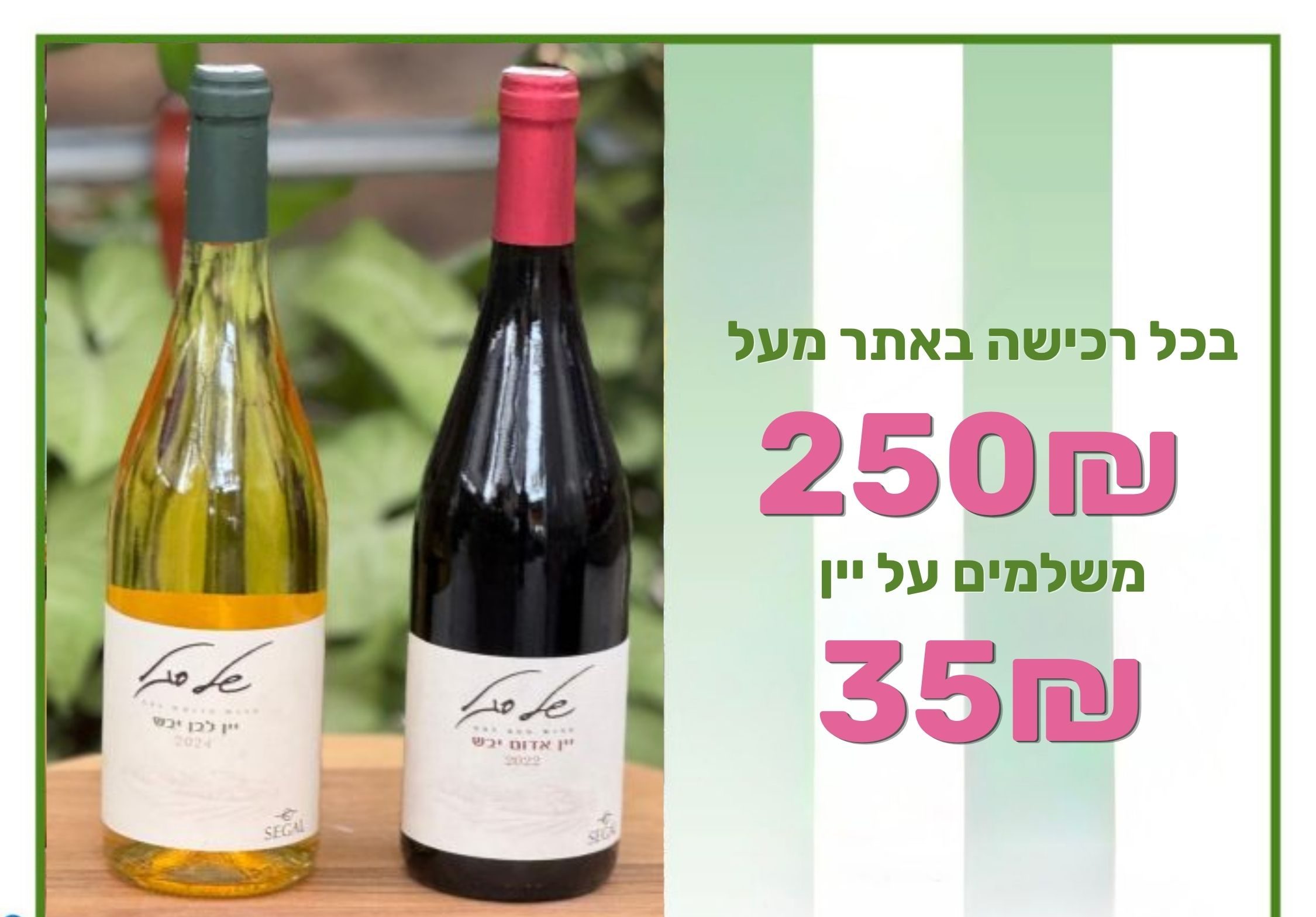 מעל 250 שלם על יין 35