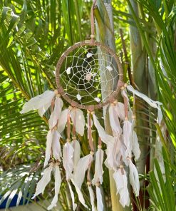 לוכד חלומות צדפות