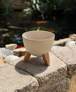 עציץ על רגליים בז'