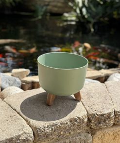 עציץ על רגליים ירוק