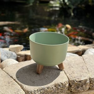 עציץ על רגליים ירוק