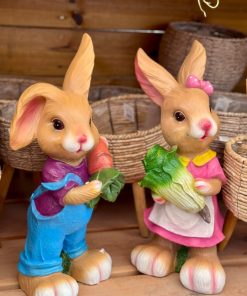 ארנבים עם ירקות לנוי