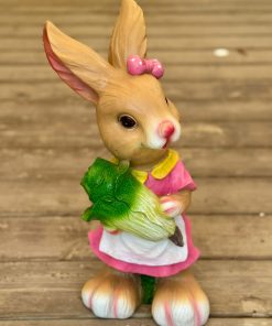 ארנבת עם חסה