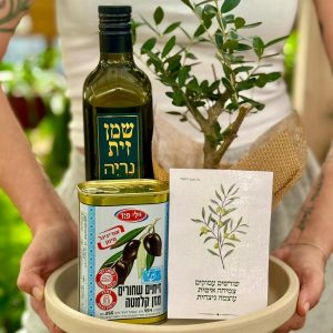 מארז שורשים