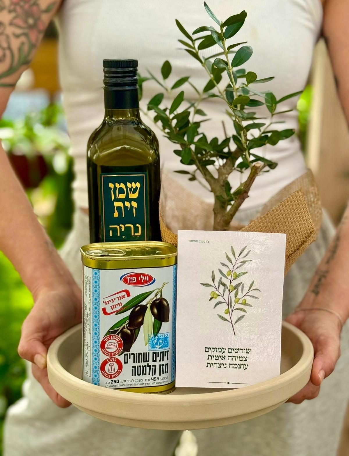 מארז שורשים