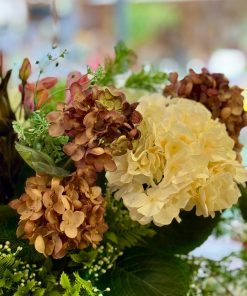 ענף הורטנזיה משי