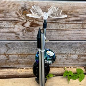 פרפר סולארי