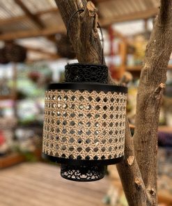 עששית בינונית