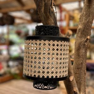 עששית בינונית