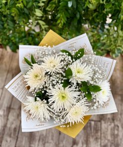 זר זריחה נוגה