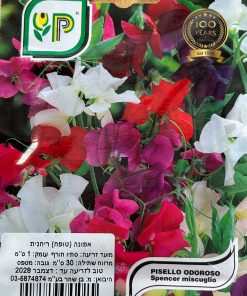 אפונה ריחנית זרעים