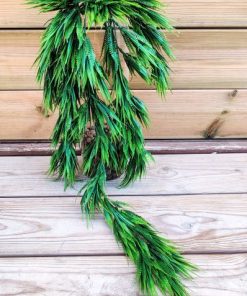 גולש סיליקון שרך