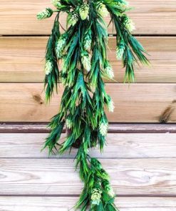 Alternative view of גולש סיליקון אצטרובל