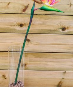 ציפור גן עדן מסיליקון