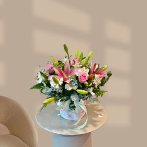 הקופסה הקלאסית