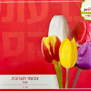 פקעות צבעוני