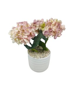 הורטנזיה מלאכותית ורודה