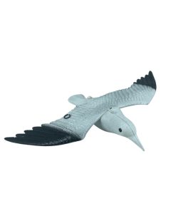 יונה עם כנפיים פתוחות